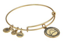 Load image into Gallery viewer, Alex and Ani Martha's Vineyard Bangle Bracelet