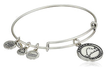 Load image into Gallery viewer, Alex and Ani Martha's Vineyard Bangle Bracelet