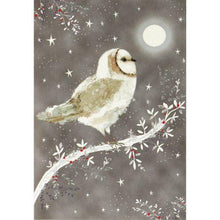 Load image into Gallery viewer, Starry Night Owl Small Boxed Holiday Cards
