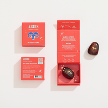 Load image into Gallery viewer, Aries Boxed Zodiac Crystal - Bloodstone