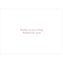 Load image into Gallery viewer, Tidings of Joy Deluxe Boxed Holiday Cards