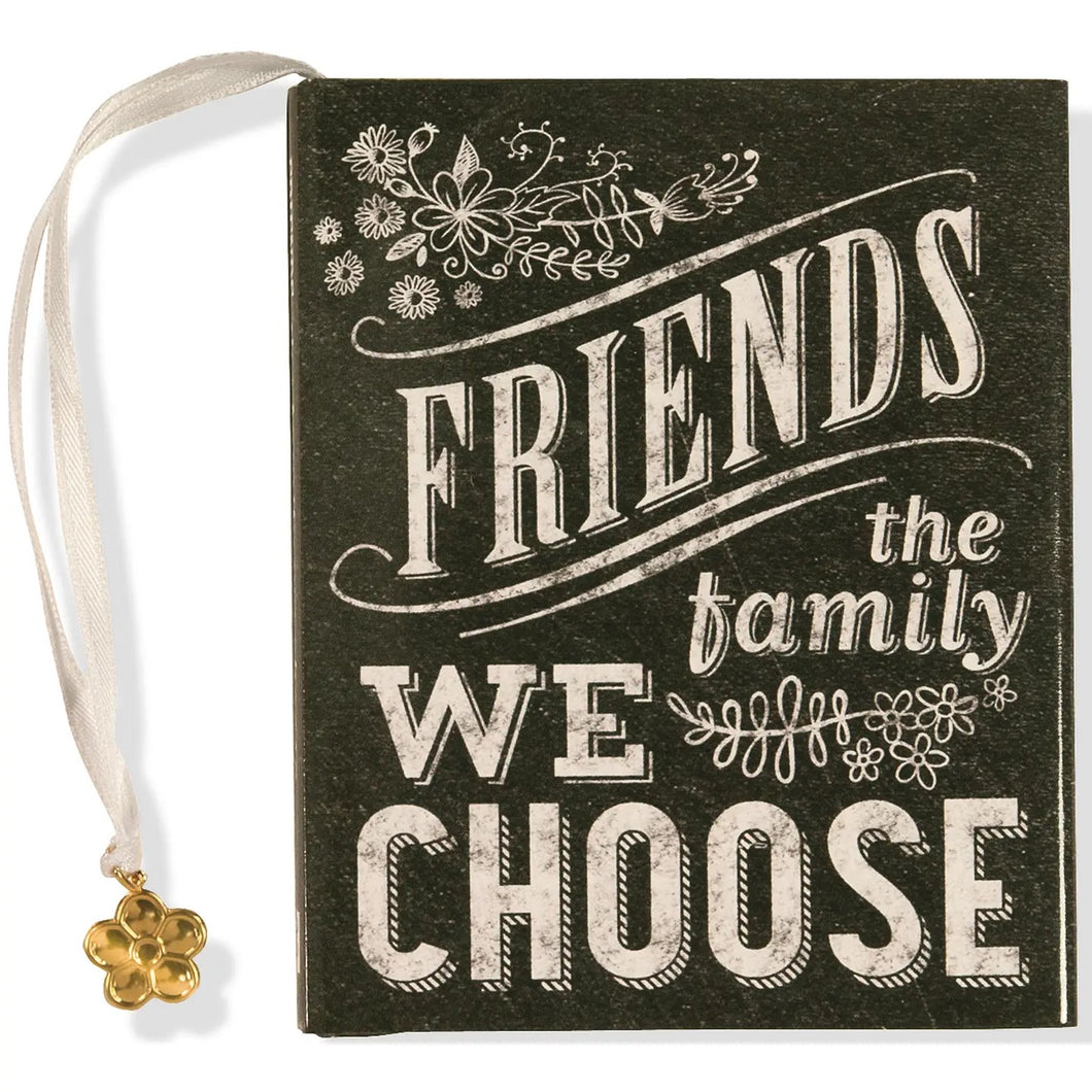 Friends: the Family We Choose Mini Book