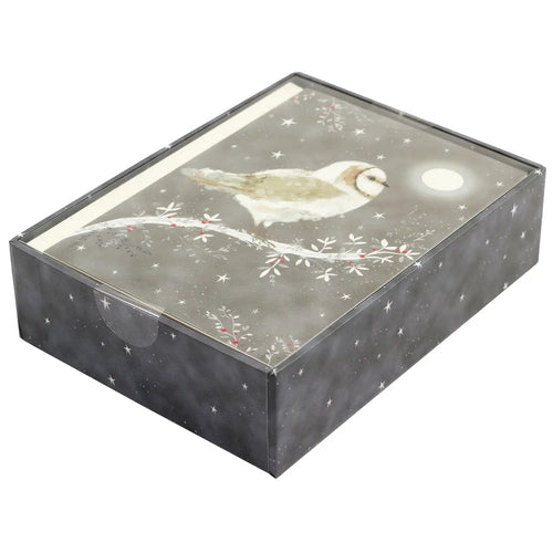 Starry Night Owl Small Boxed Holiday Cards