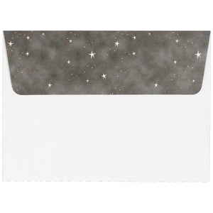 Starry Night Owl Small Boxed Holiday Cards