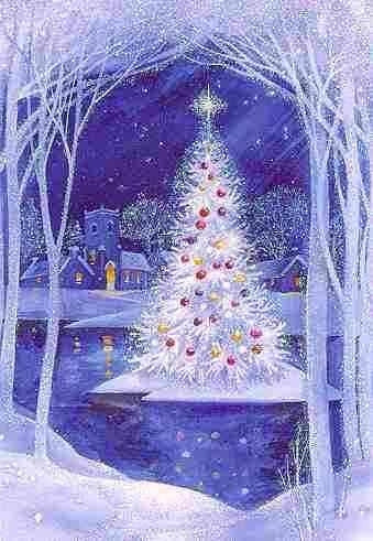 Christmas Island Holiday Boxed Cards