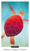 Load image into Gallery viewer, Familiar Field Oracle