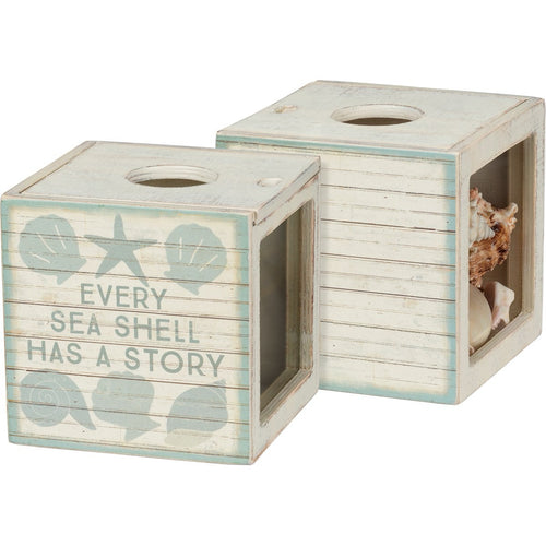 Sea Shell Has A Story Shell Holder