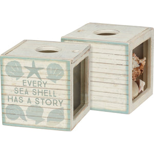 Sea Shell Has A Story Shell Holder
