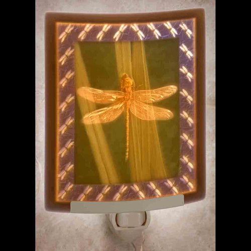 Dragonfly Colored Nightlight
