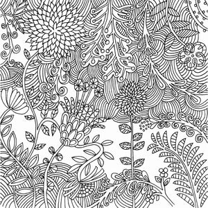 Serenity Artist's Coloring Book