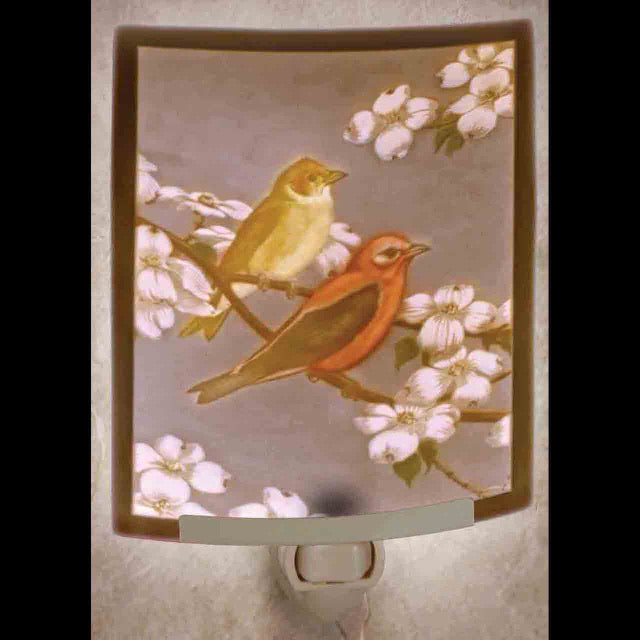 Morning Song Colored Nightlight