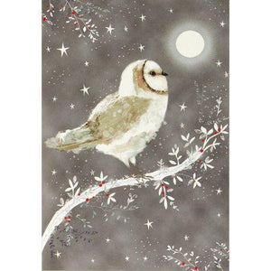Starry Night Owl Small Boxed Holiday Cards