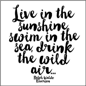 Live In The Sunshine Quotable Card or Magnet