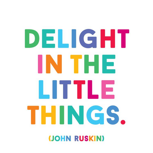Delight in the Little Things Quotable Card or Magnet