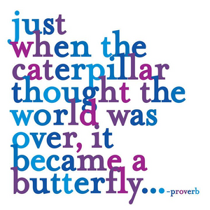 Just When The Caterpillar Quotable Card or Magnet